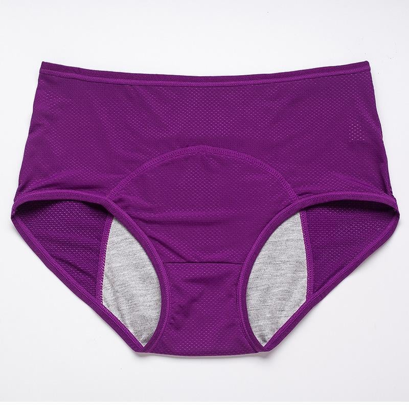 Leak Proof Protective Panties