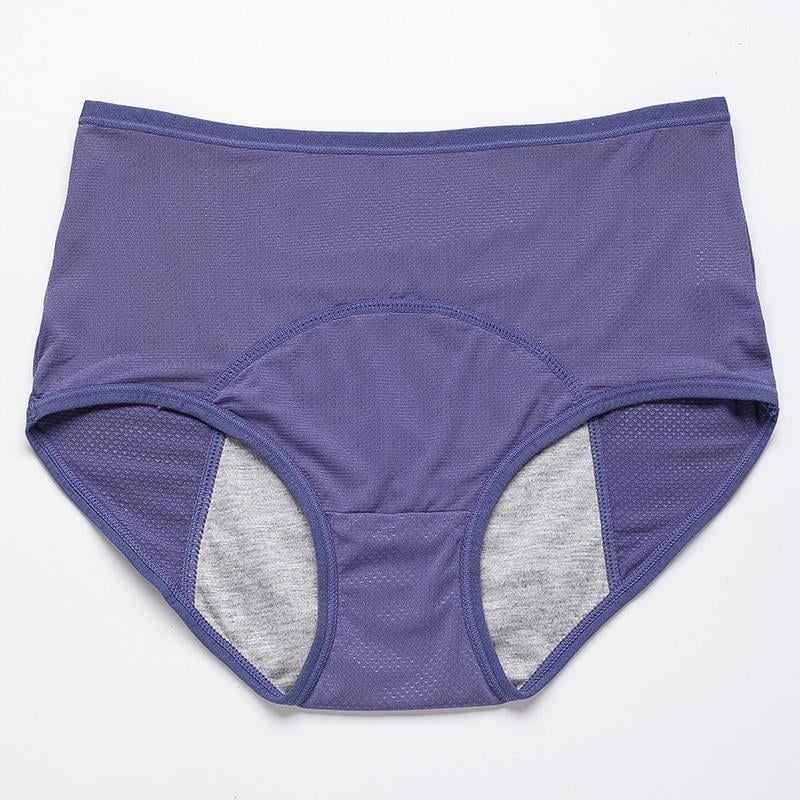 Leak Proof Protective Panties