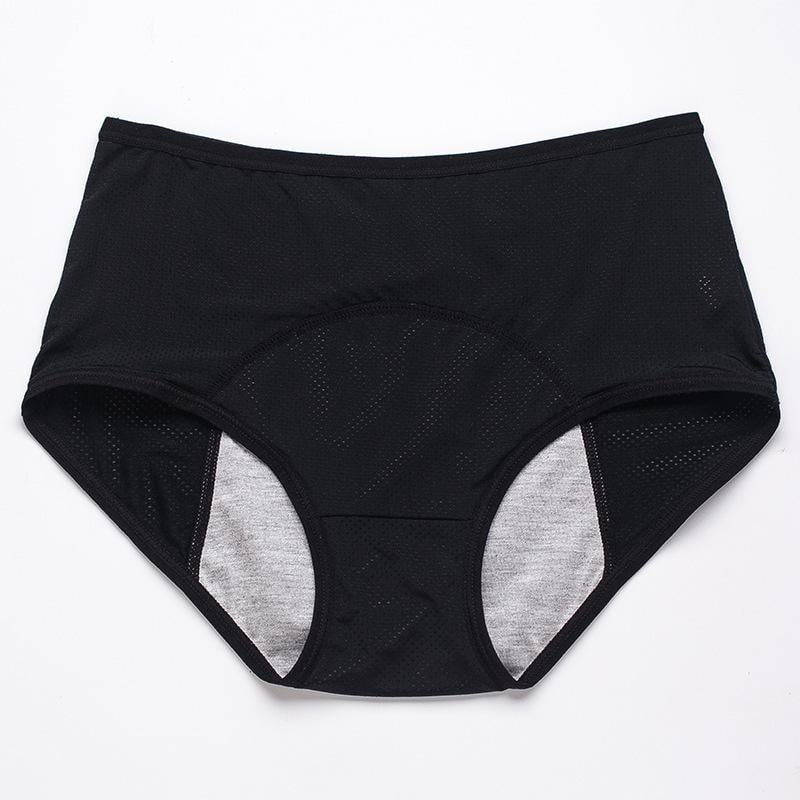 Leak Proof Protective Panties