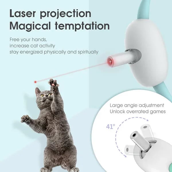 🔥 Electric Smart Amusing Collar for Kitten 🔥