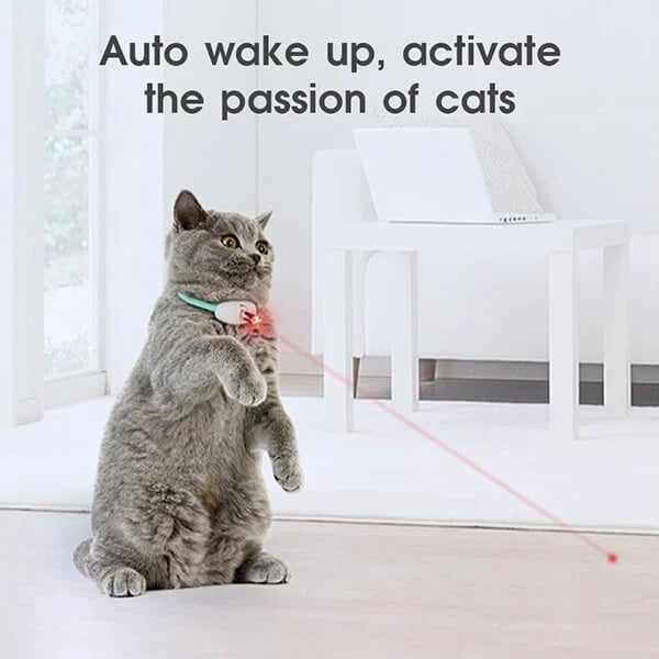 🔥 Electric Smart Amusing Collar for Kitten 🔥