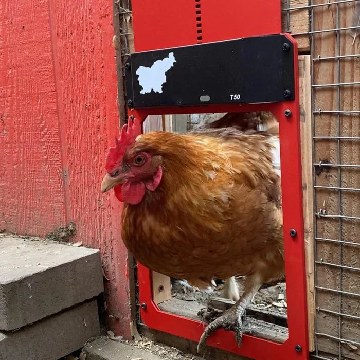 Automatic Chicken Coop Door