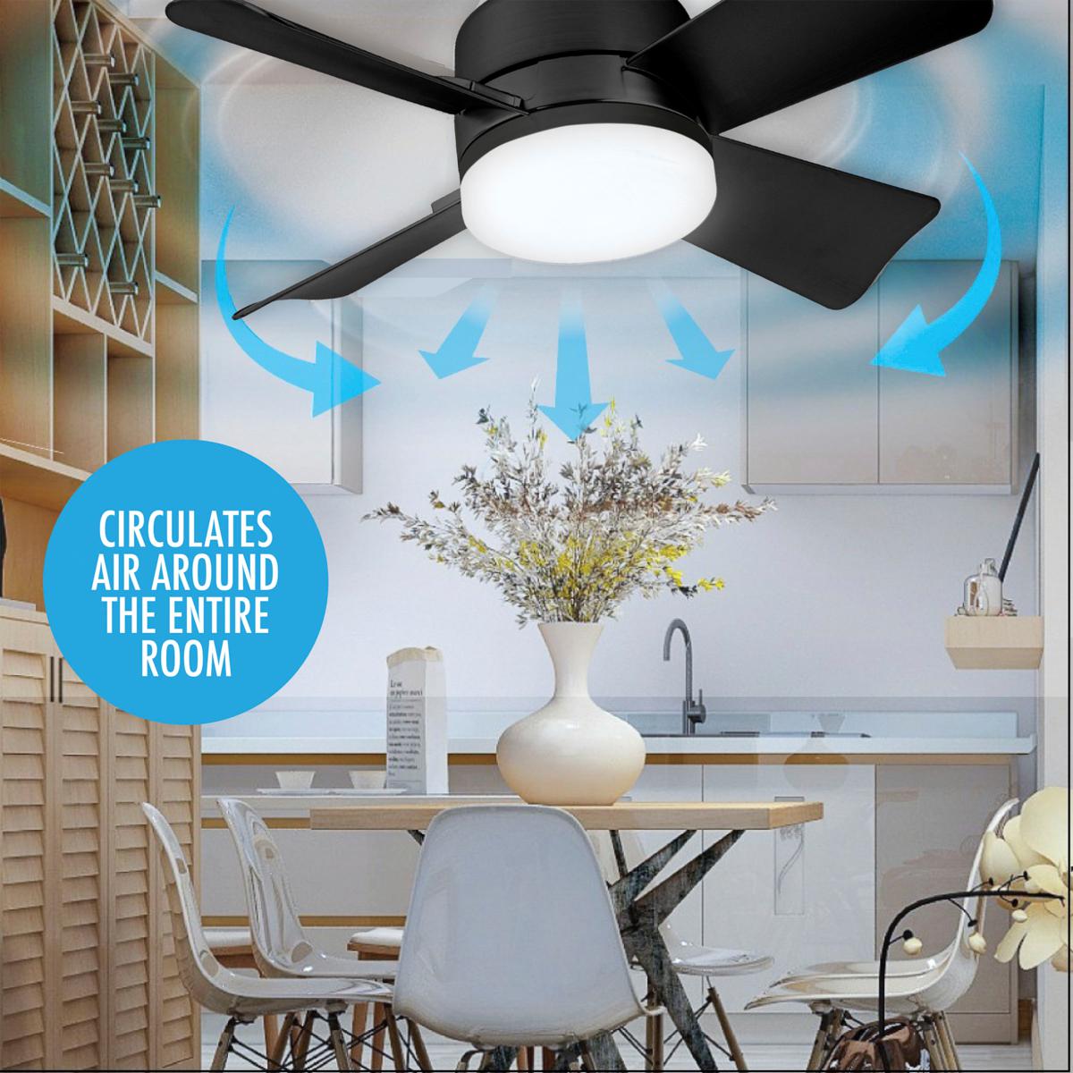 Bright and Cool Ceiling Fan